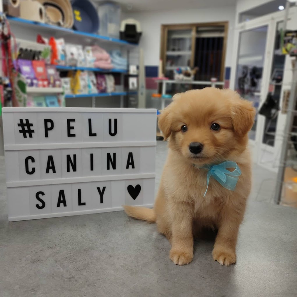 Peluqueria Canina Saly