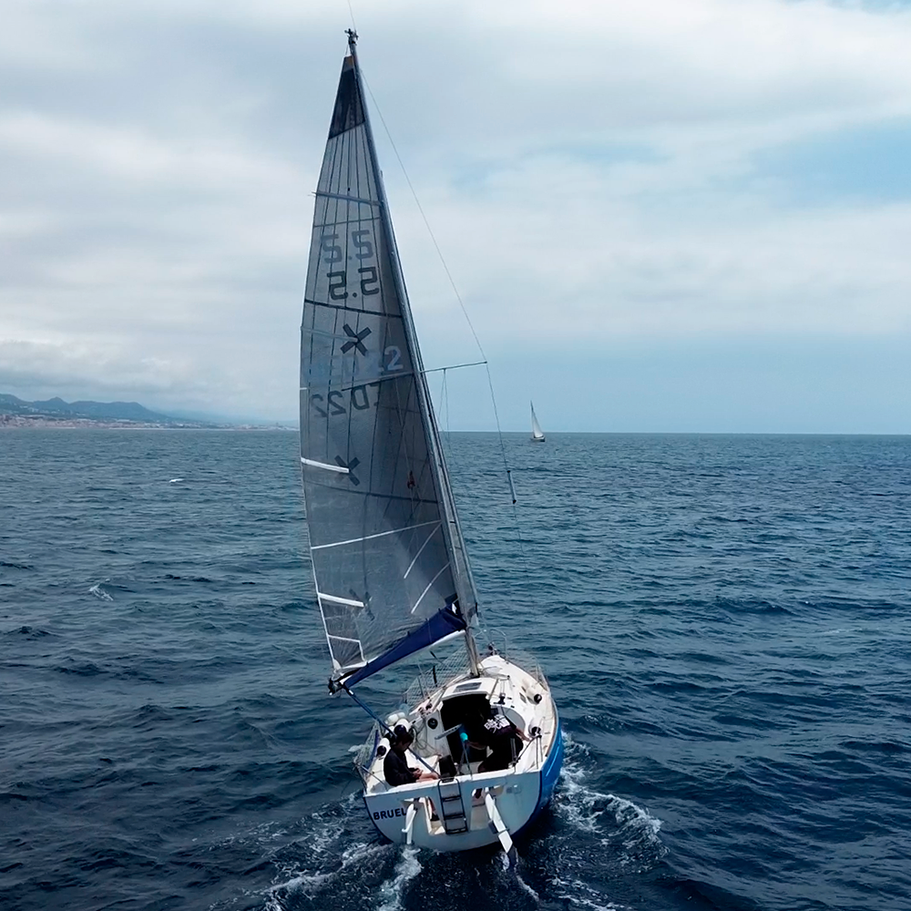 BDN Charter