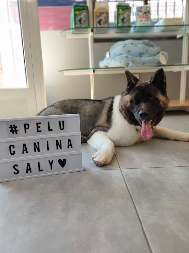 Peluqueria Canina Saly