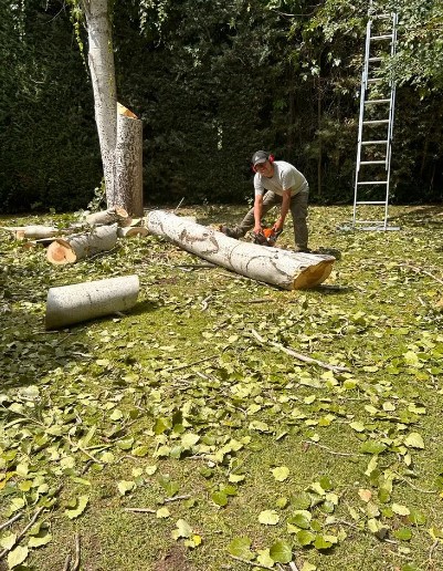 Jardineria Ortega